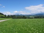 IMG_1497 * 2272 x 1704 * (2.22MB)