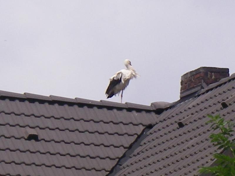 2007-06-22-rad-053 