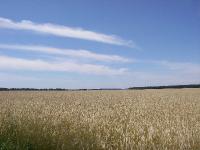 2007-06-25-rad-199 